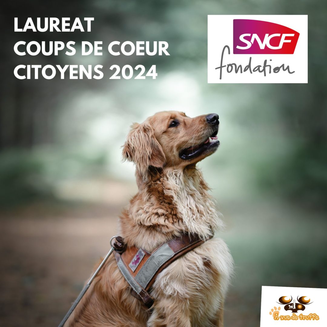 Coups de Cœur Citoyens – Fondation SNCF 2024