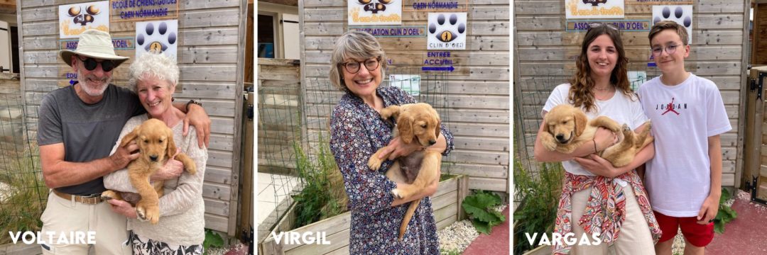 Les nouveaux chiots de l’école