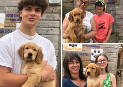 Les nouveaux chiots de l’école