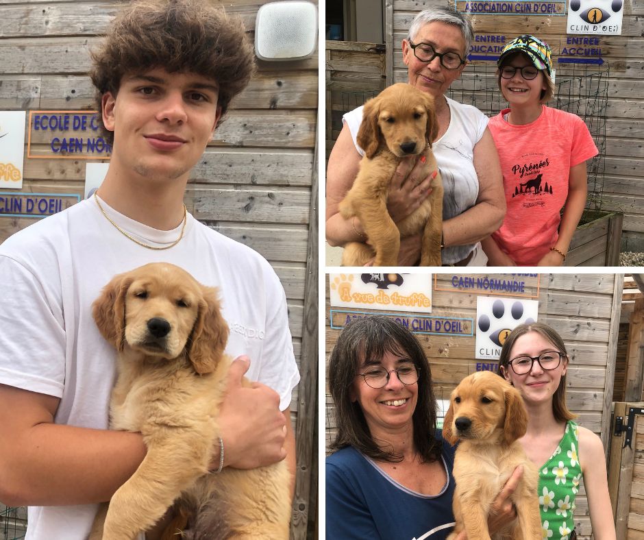 Les nouveaux chiots de l’école