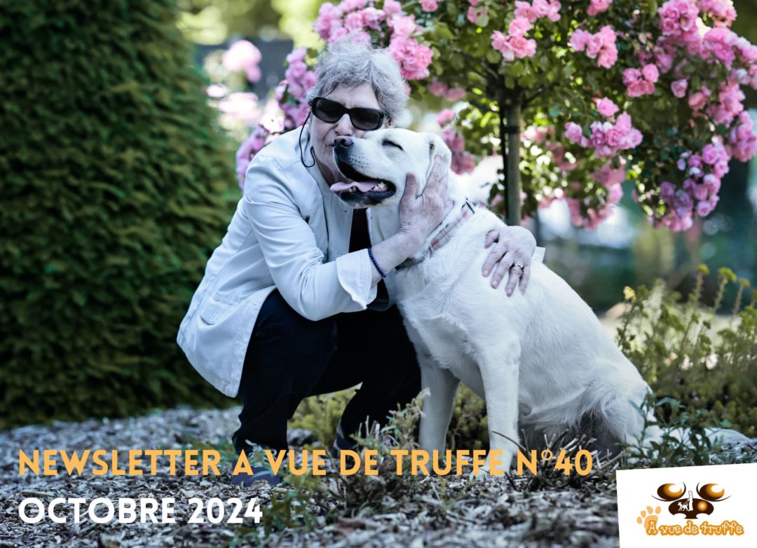 Newsletter A Vue de Truffe n°40 – Octobre 2024