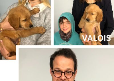 Valmont, Valois et Vigean, les nouveaux chiots de l’école !